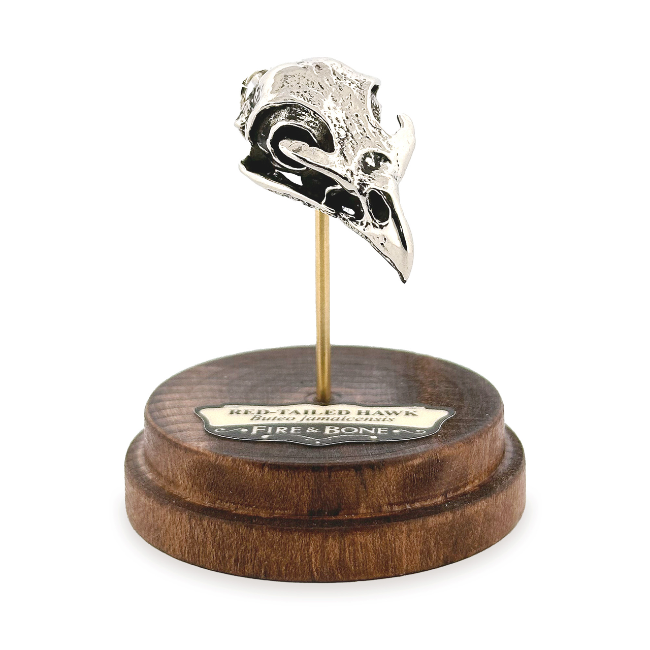 Red-Tailed Hawk Skull Pendant