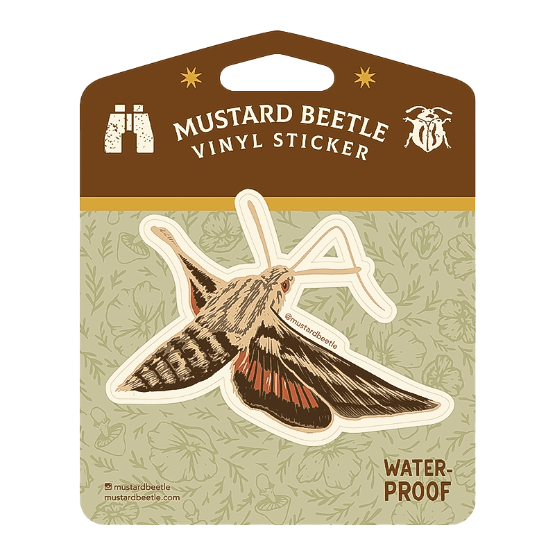 White Lined Sphinx Moth 3" Vinyl Sticker