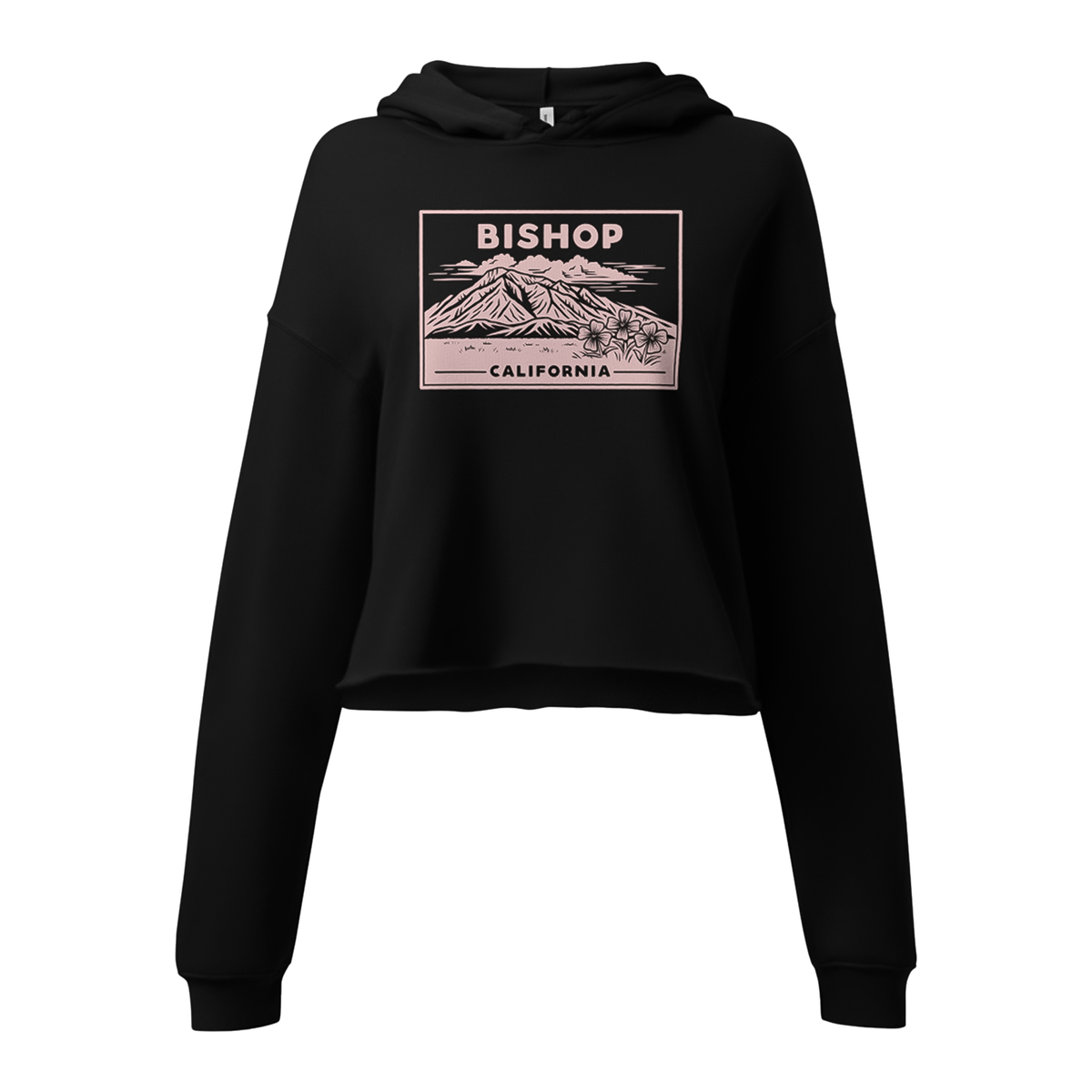 Women's Mt. Tom Vintage Cropped Hoodie