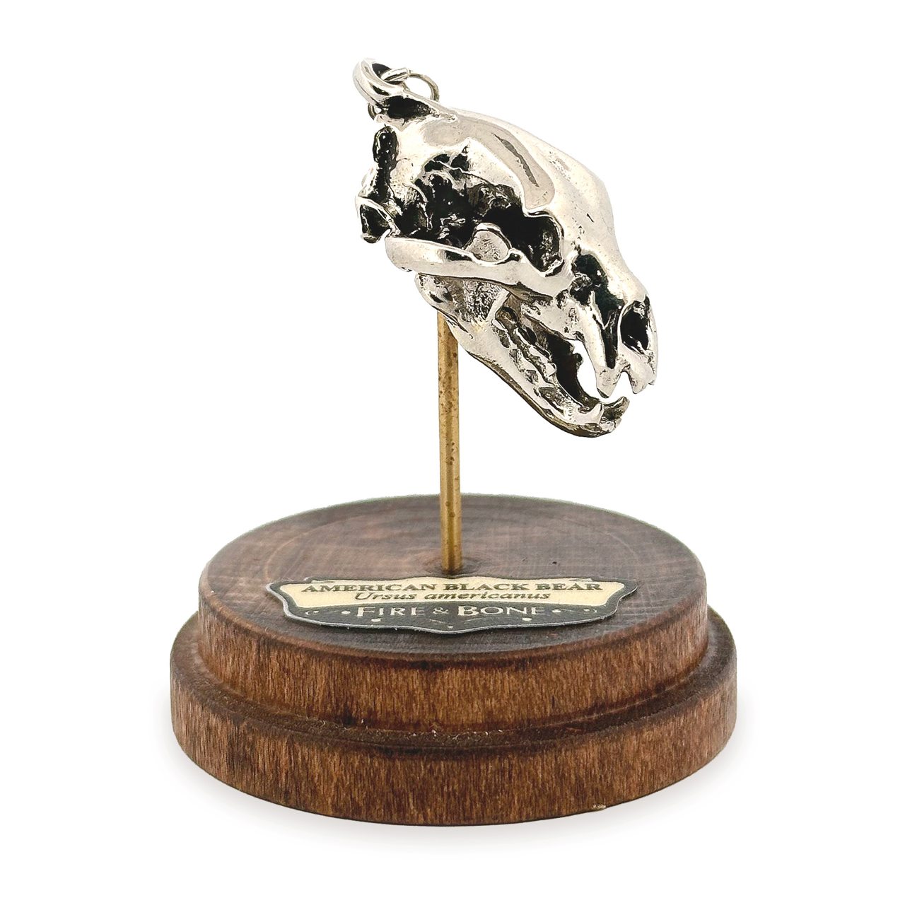 American Black Bear Skull Pendant