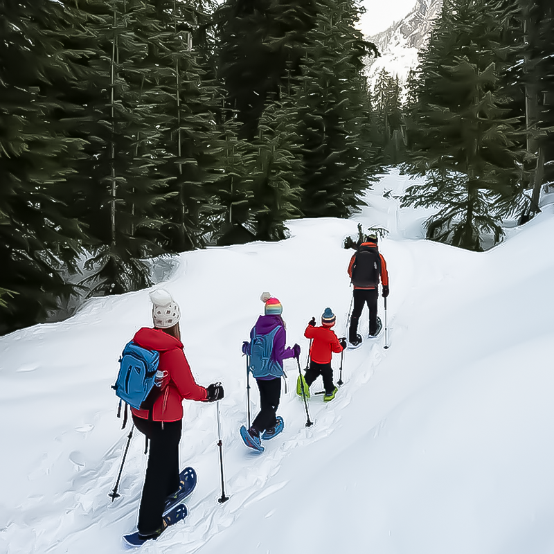 Crescent Moon Eva Foam Snowshoes - Seafoam