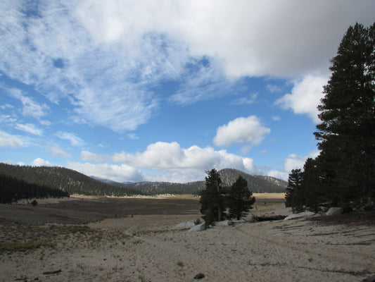 Mountain scape with field trees and clouds
