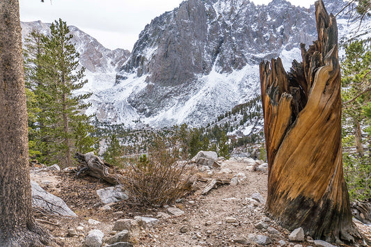 Big Pine Trail Head