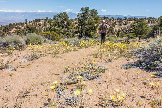 Hiker on Druid Trail