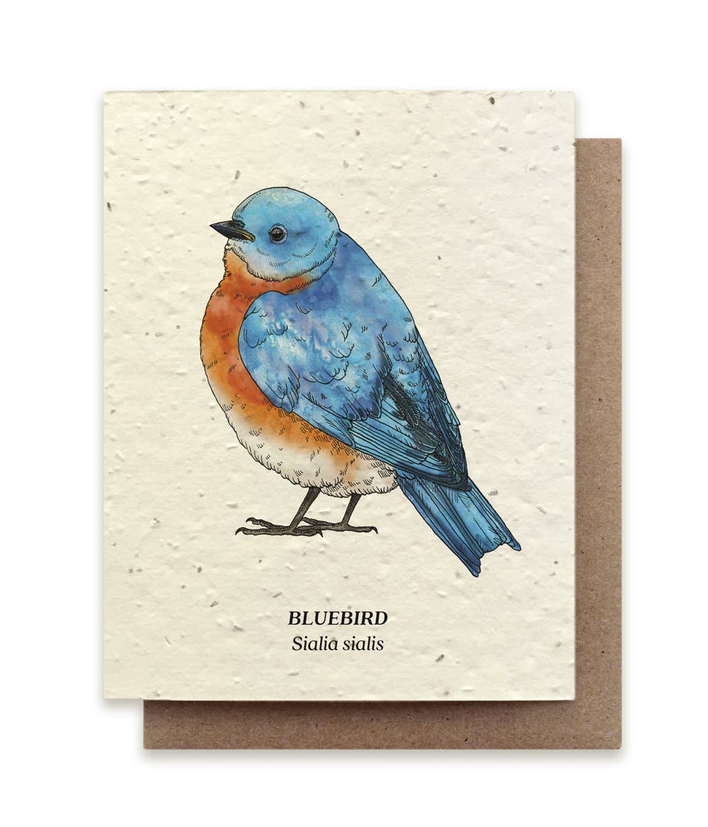 a plantable card depicting a bluebird surrounded by a blue jar and blue pens