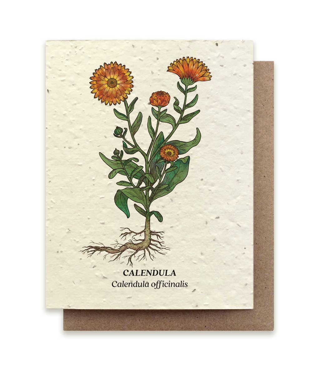 a plantable card depicting calendula flowers