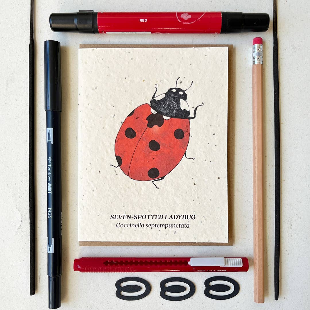 a card depicting a seven spotted ladybug surrounded by pens and pencils