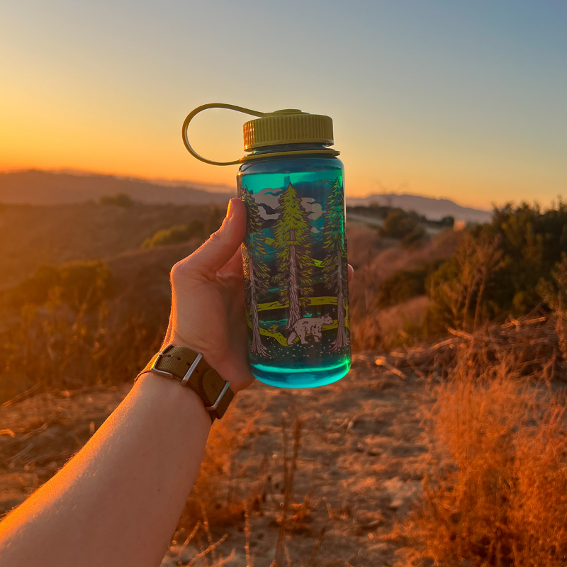 Mustard Beetle Nalgene 16oz Wide Mouth Water Bottle