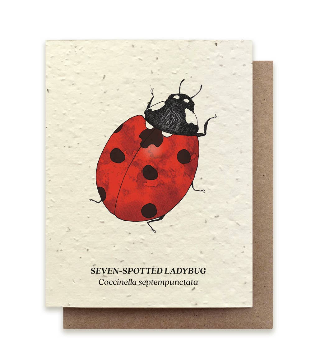 a card depicting a seven spotted ladybug surrounded by pens and pencils