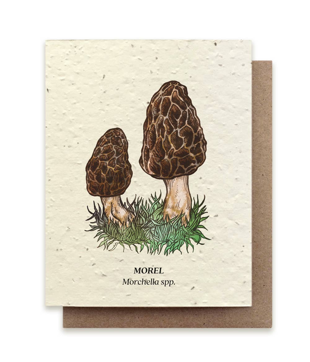 a card depicting morel mushrooms surrounded by office supples