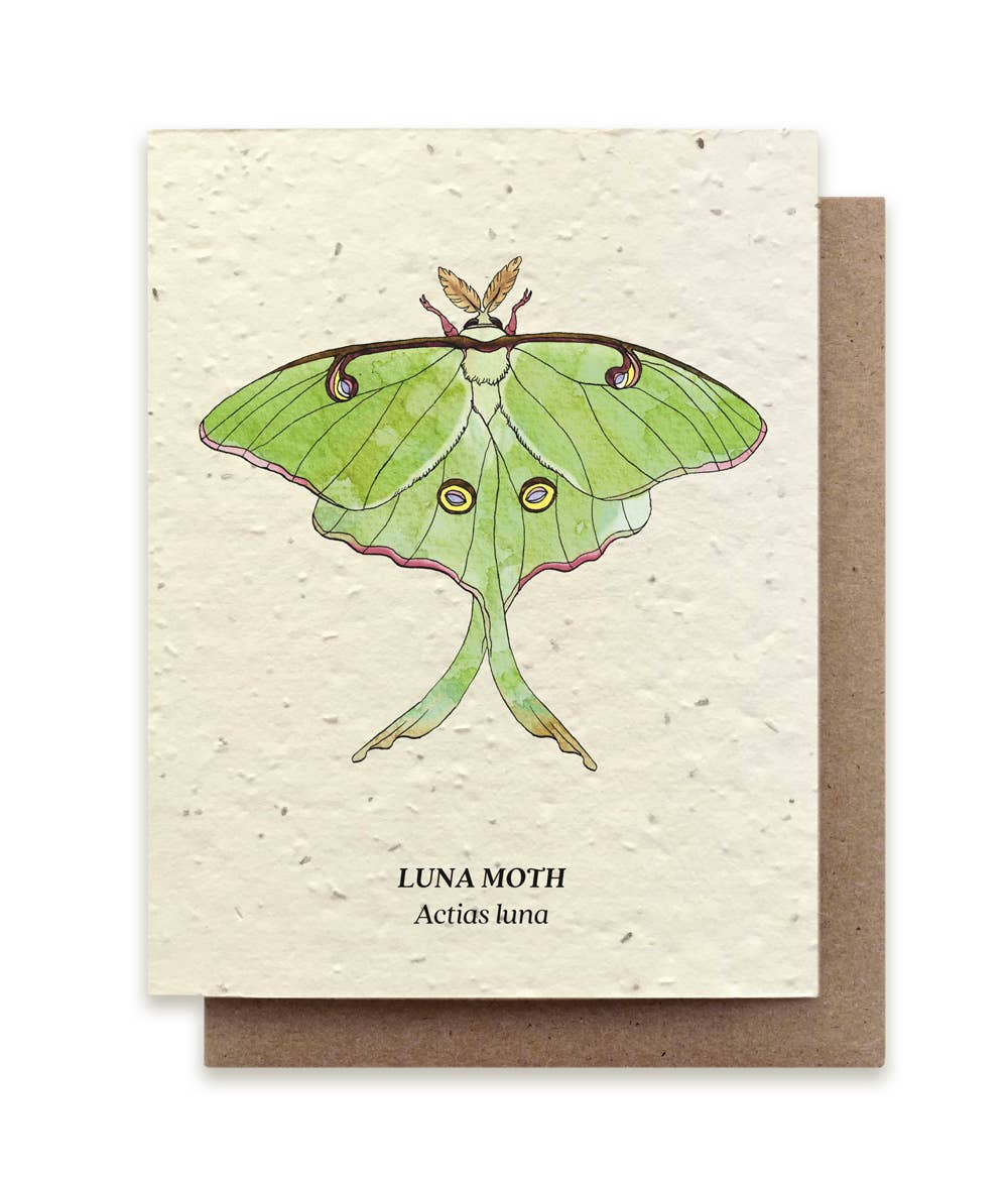 a plantable card depicting a green luna moth