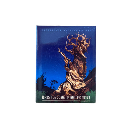 Card with a tree design on a wooden surface