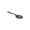 GSI Spoon