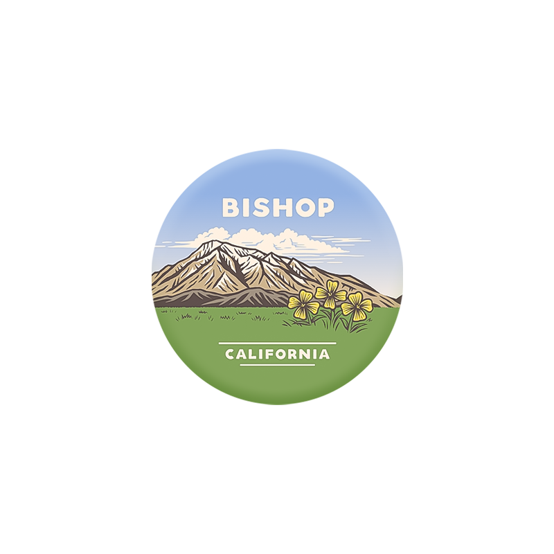 Large Mt. Tom Vista Pin