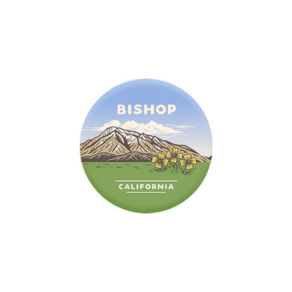 Large Mt. Tom Vista Pin