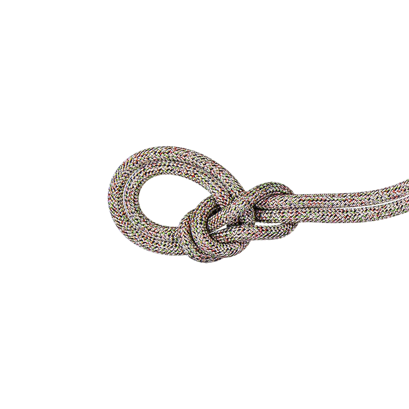 Mammut 9.5 Crag We Care Classic Rope