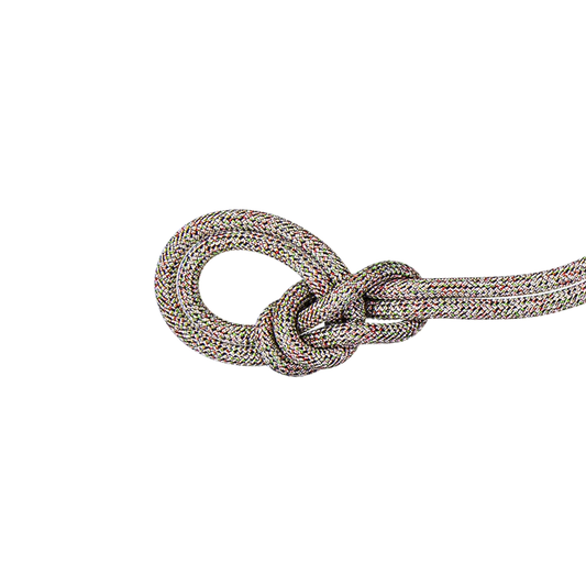 Mammut 9.5 Crag We Care Classic Rope