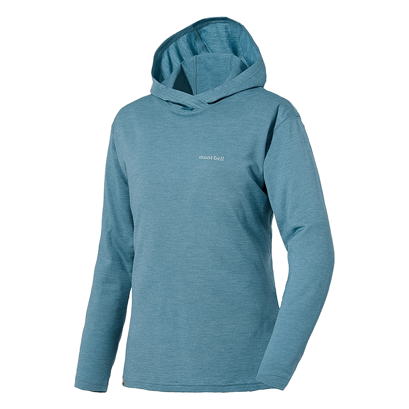 Patagonia merino hotsell wool hoodie