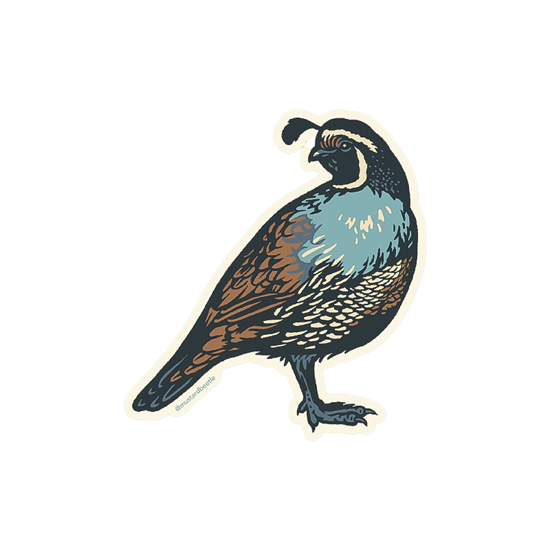 California Quail Sticker
