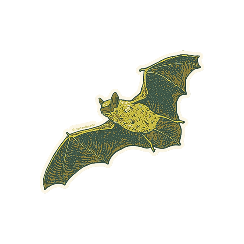 Canyon Bat Sticker