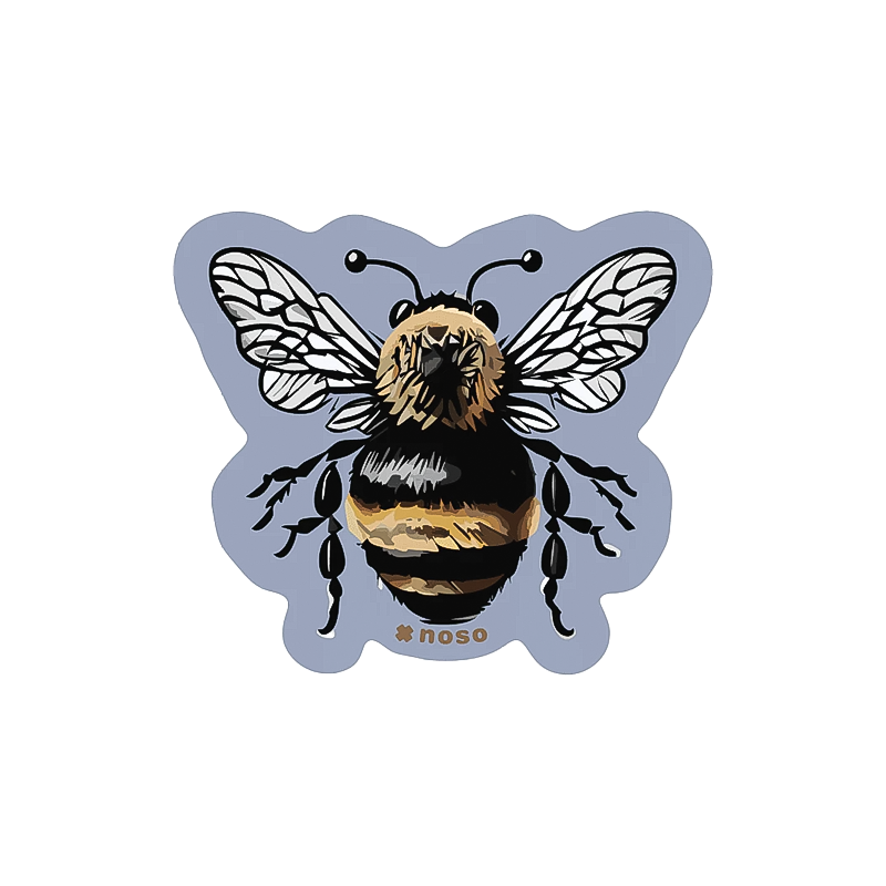 Noso Patches