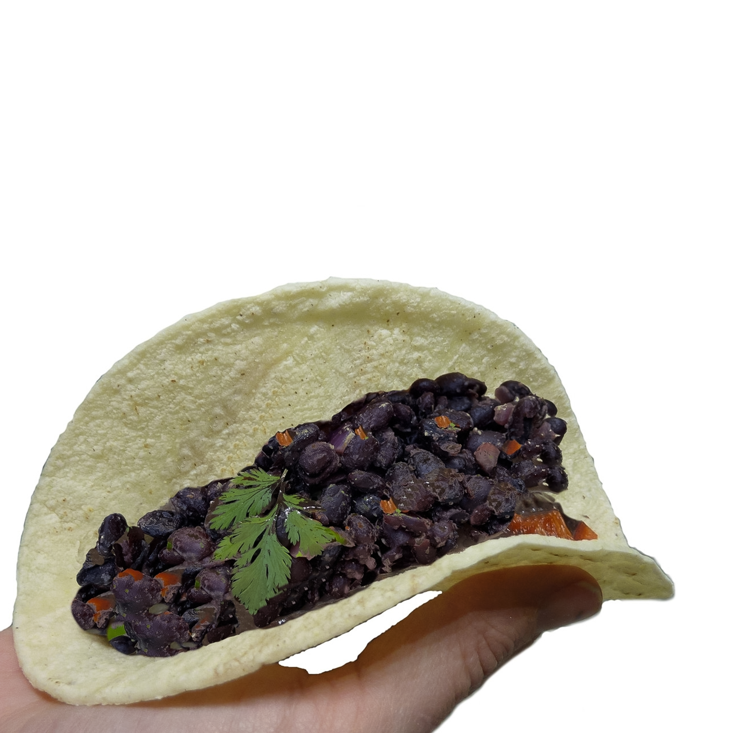 Outdoor Herbivore Baja Black Bean Flakes (Pouch)