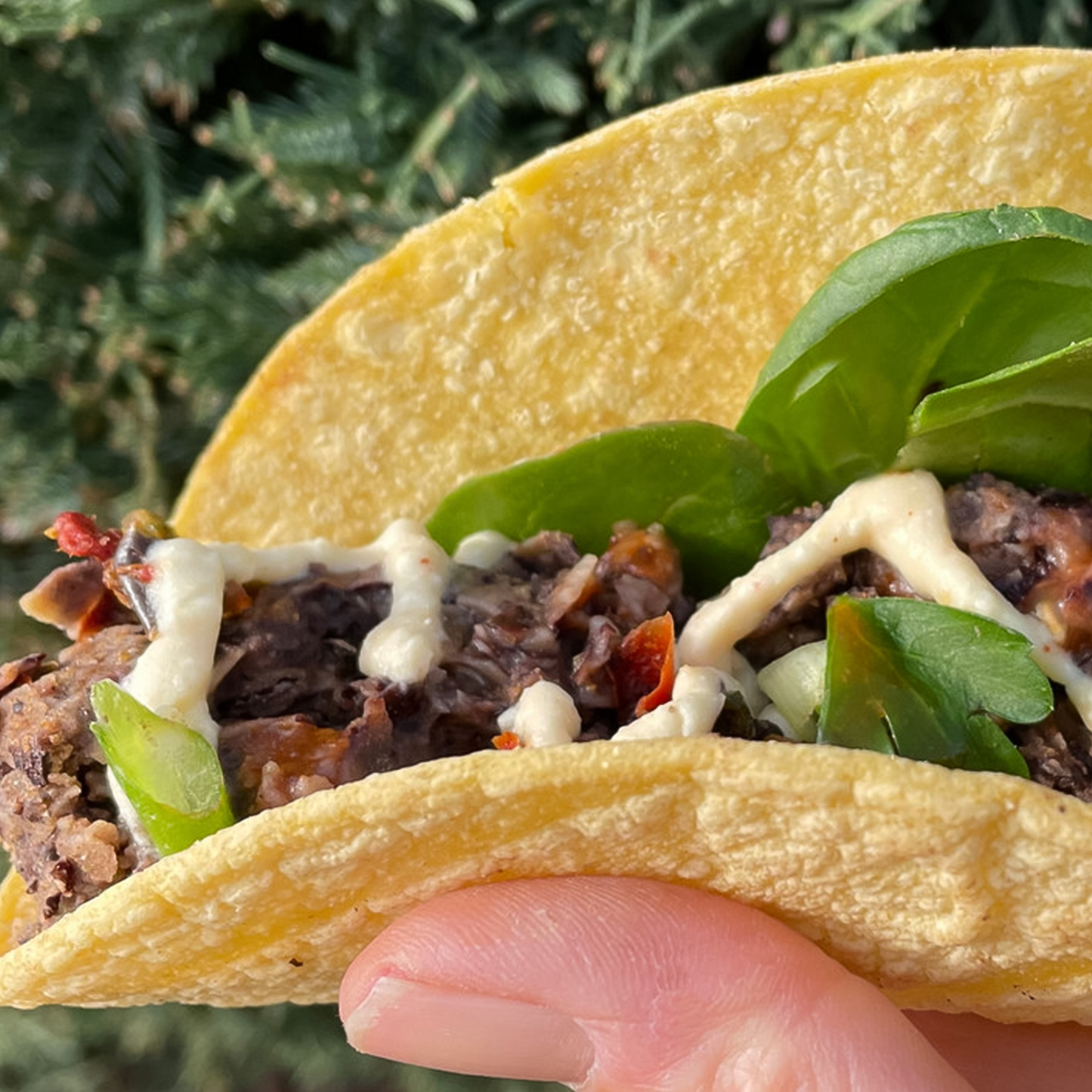 Outdoor Herbivore Baja Black Bean Flakes (Pouch)