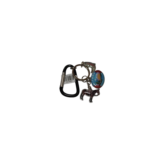 Keychain featuring a horse and colorful design, with Bishop CA, ideal for outdoor enthusiasts and travelers.