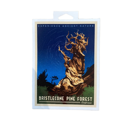 Sticker with a bristlecone pine tree design