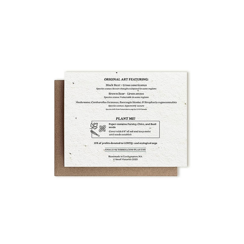 Back cover of a greeting card of a brown and black bear eating apples, with illustrations of mushrooms and herb seeds.