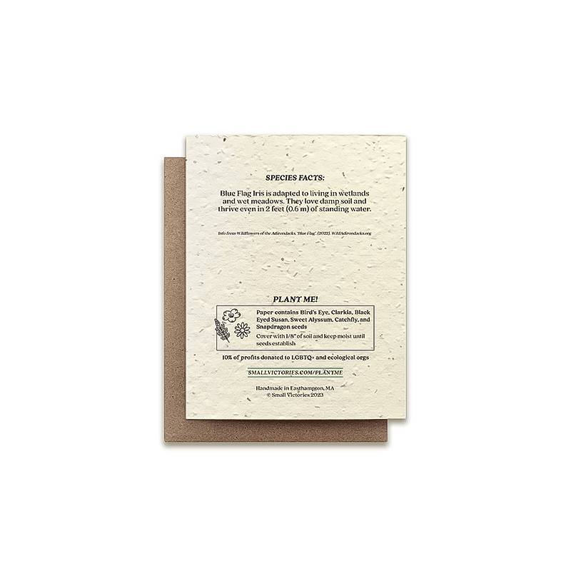 Back cover of a blue flag iris greeting card on cream seeded paper, includes wildflower seeds for planting, with kraft envelope included.