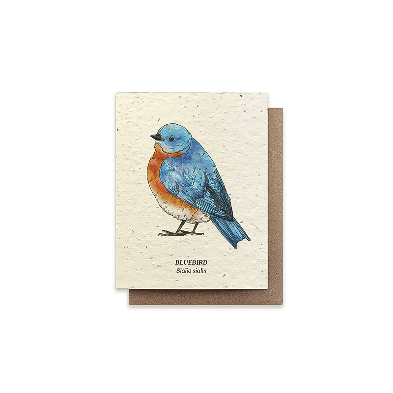 Bluebird greeting card on cream seeded paper, featuring wildflower seeds and planting instructions on the back.