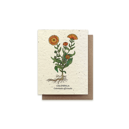 A2 greeting card featuring calendula art on cream seeded paper with wildflower seeds.