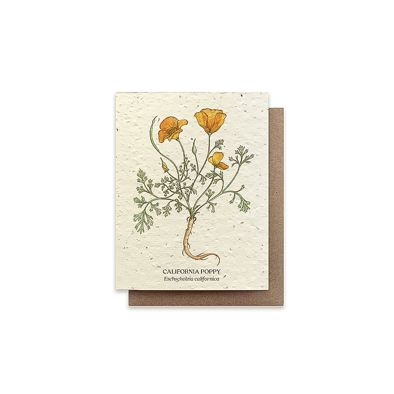 Front cover of a greeting card featuring a California poppy, made from recycled paper with plantable seeds for a sustainable gift.