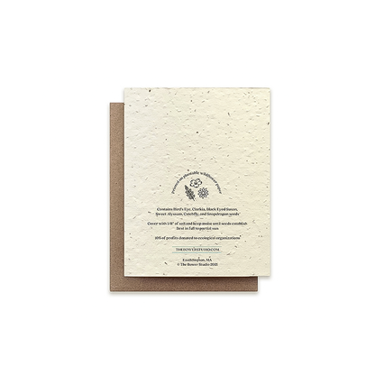 Back cover of a flower greeting card with plantable seeds, made from recycled paper, featuring Echinacea design and planting instructions.