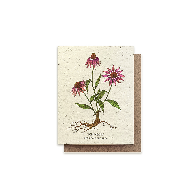 Front cover of a colorful flower greeting card that contains plantable seeds, made from recycled materials, with instructions for growing flowers.
