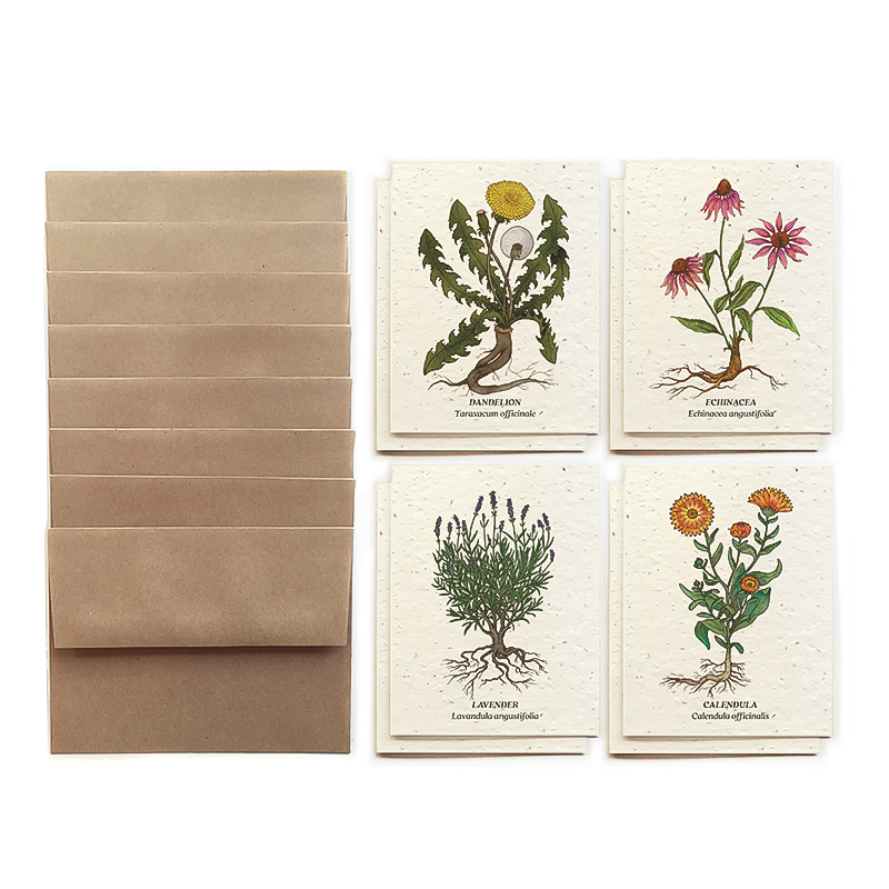 Small Victories Medicinal Plants Card Set (Plantable Wildflower Seed Paper)