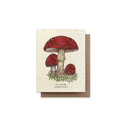 Plantable greeting card with two red mushrooms, made from recycled materials to grow flowers.