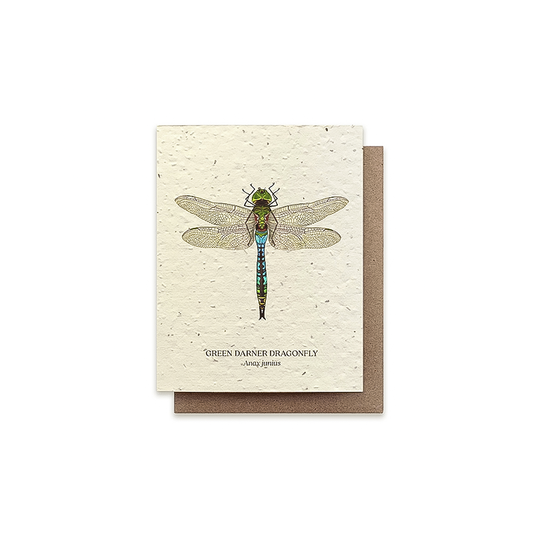 Front cover of a greeting card featuring a Green Darner dragonfly, made from recycled paper with plantable seeds for a sustainable gift.