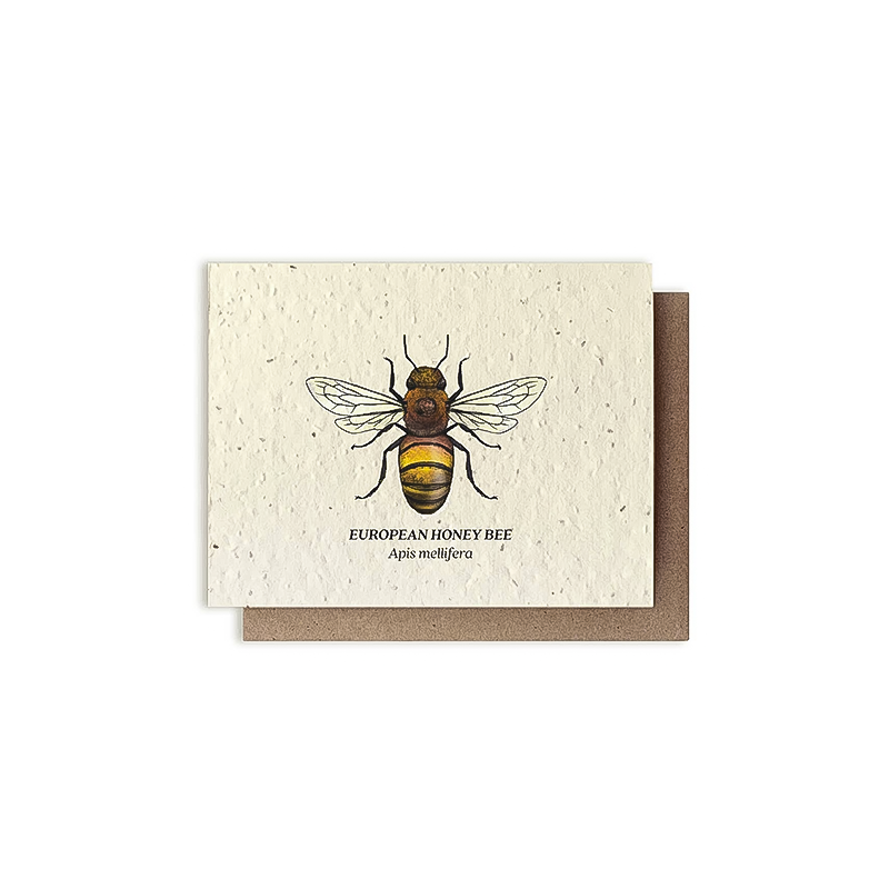 Greeting card featuring a European honey bee illustration on cream-colored plantable paper with wildflower seeds embedded.