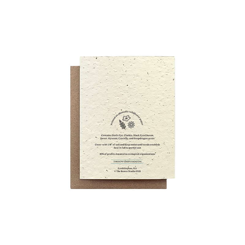 Back cover of an eco-friendly lavender tree greeting card with seeds for planting, designed to bloom into a vibrant garden of flowers.