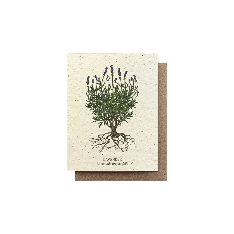 Front cover of a plantable lavender tree greeting card featuring non-GMO seeds, encouraging recipients to grow a beautiful garden.