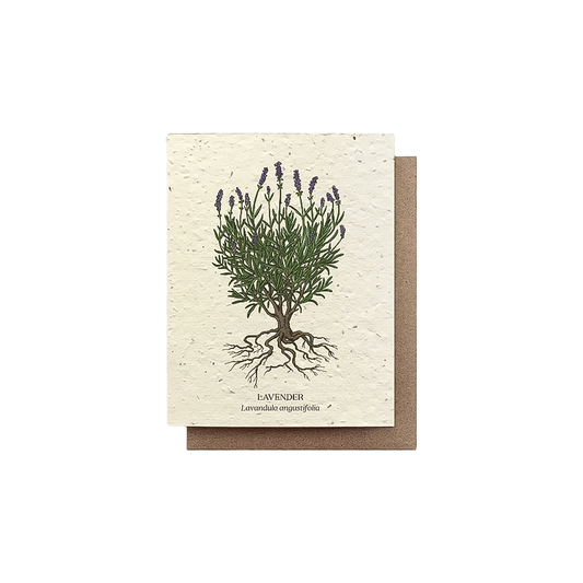 Front cover of a plantable lavender tree greeting card featuring non-GMO seeds, encouraging recipients to grow a beautiful garden.