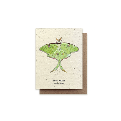 A cream-colored greeting card with an illustration of a green luna moth, made from plantable paper with wildflower seeds.