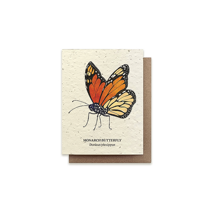 Monarch butterfly greeting card on cream seeded paper, includes wildflower seeds, planting instructions on the back.