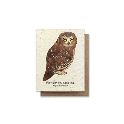 Greeting card featuring a northern saw-whet owl illustration on plantable seeded paper with wildflower seeds embedded.