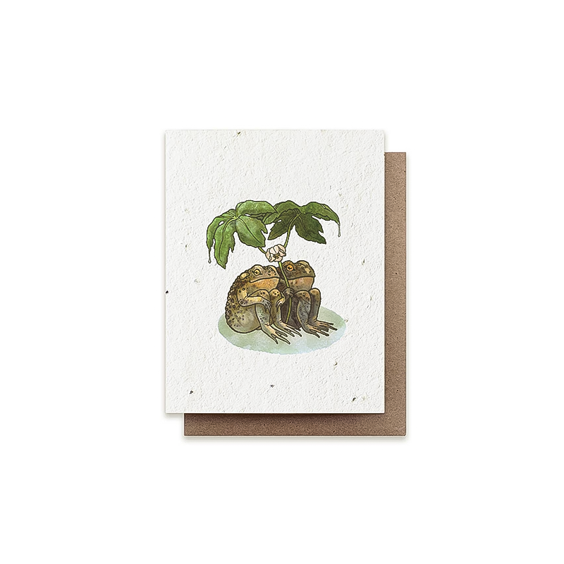 Greeting card featuring a frog on a plant, printed on plantable paper with herb seeds for growing.