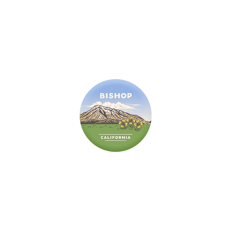Small Mt. Tom Vista Pin