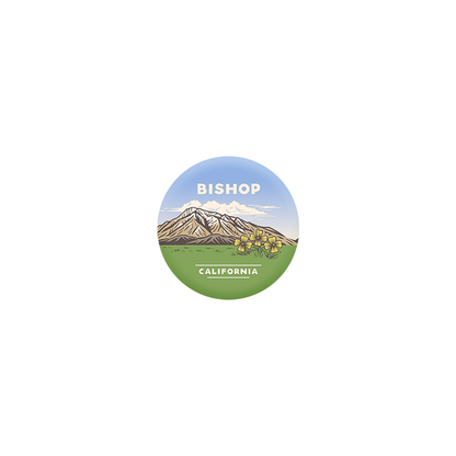 Small Mt. Tom Vista Pin