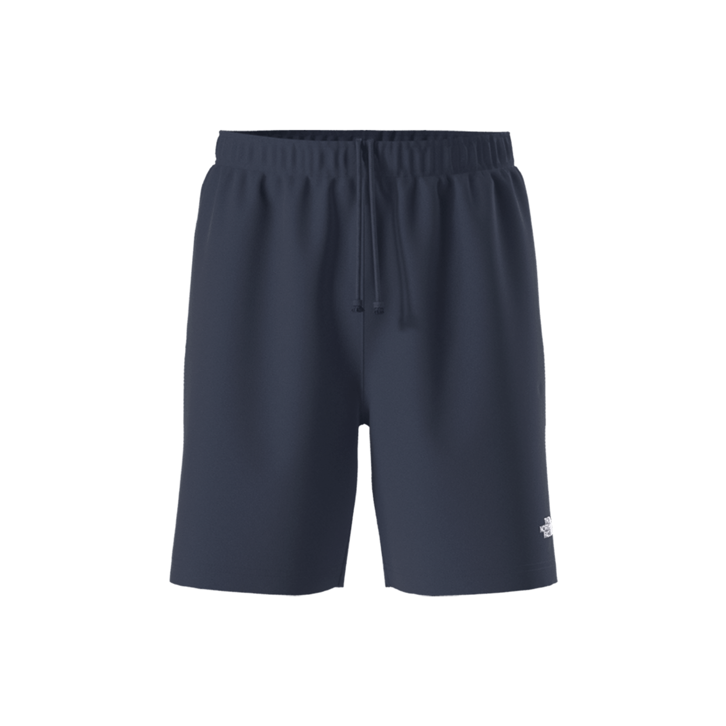 The North Face Men’s Evolution Simple Dome Regular Shorts